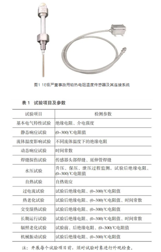 圖1 1E級(jí)嚴(yán)重事故用鉑熱電阻溫度傳感器及其連接系統(tǒng)